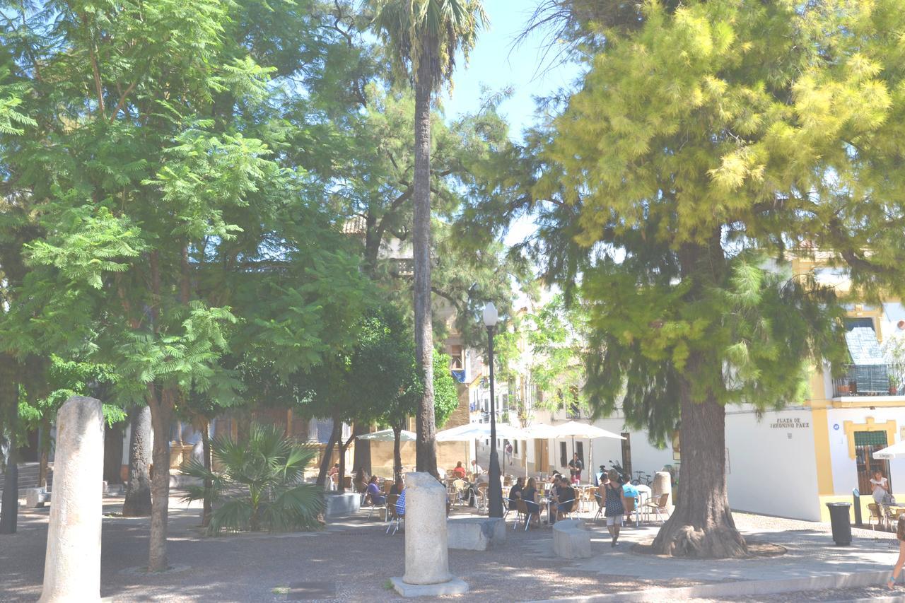 Centro Cordoba Apartaluz-8 Wifi Pk Extérieur photo